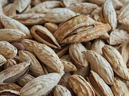 Бадам (крупный)